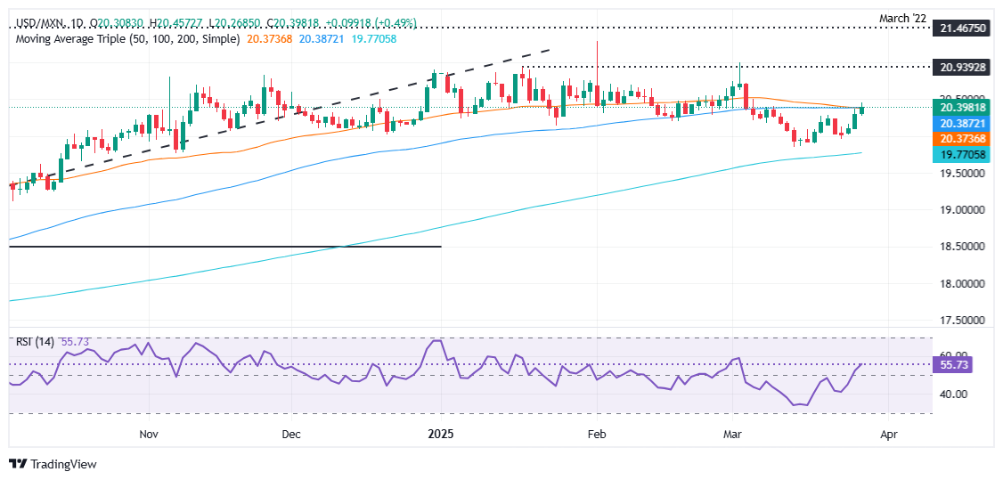 Mexican Peso dives as Banxico hints at further easing amid tariff woes
