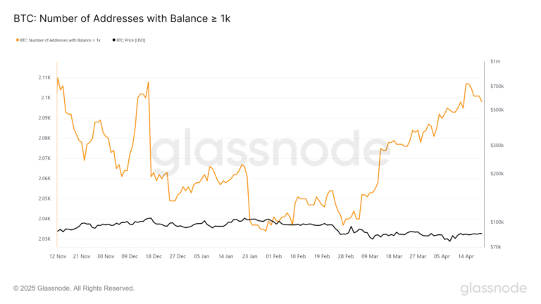Bitcoin whales, pundits continued to stack throughout April, data shows