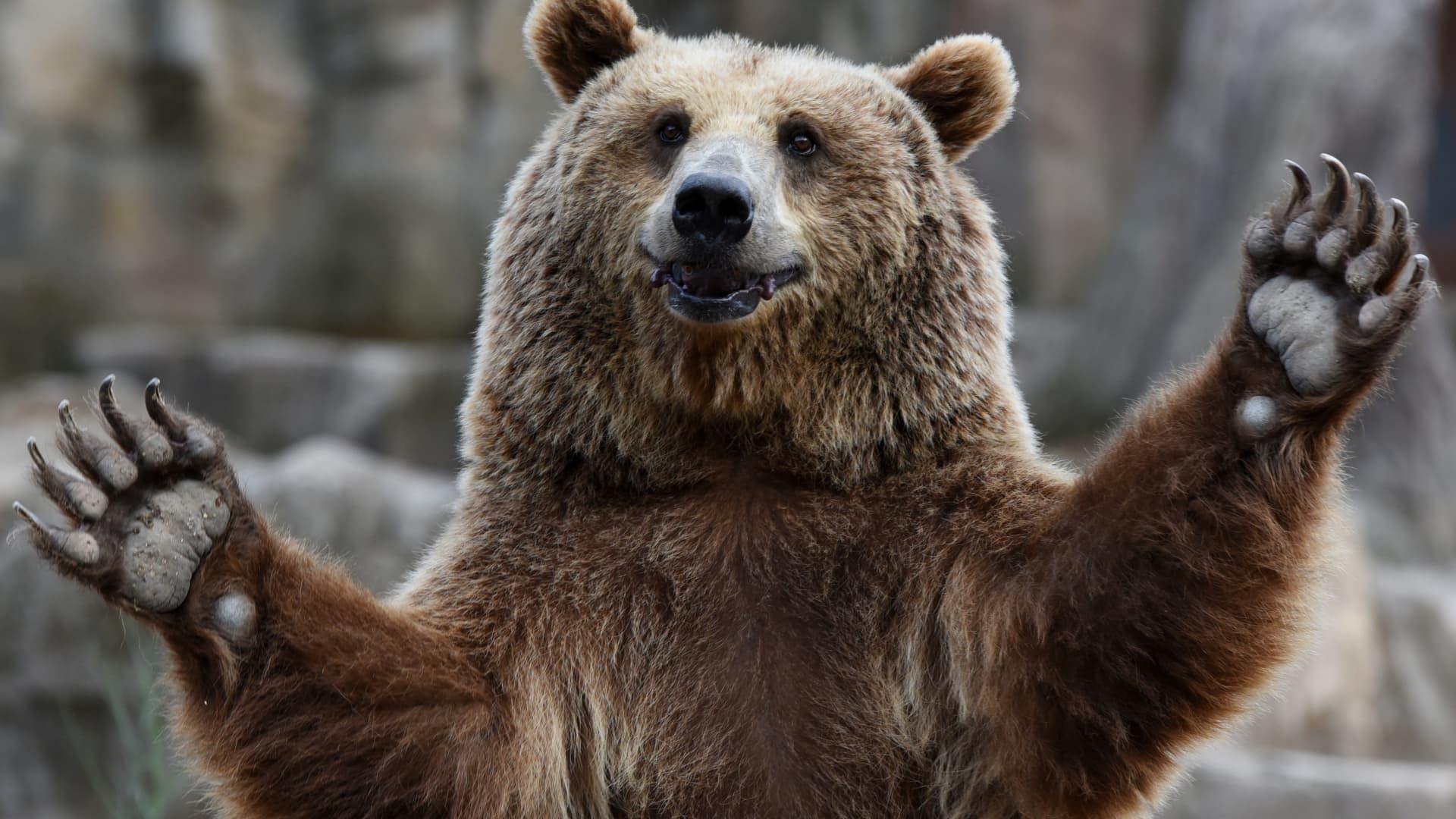 Ron Insana:  Consider the implications of a long-term bear market