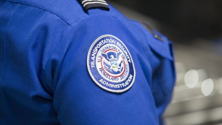 White House names McNeill acting head of Transportation Security Administration