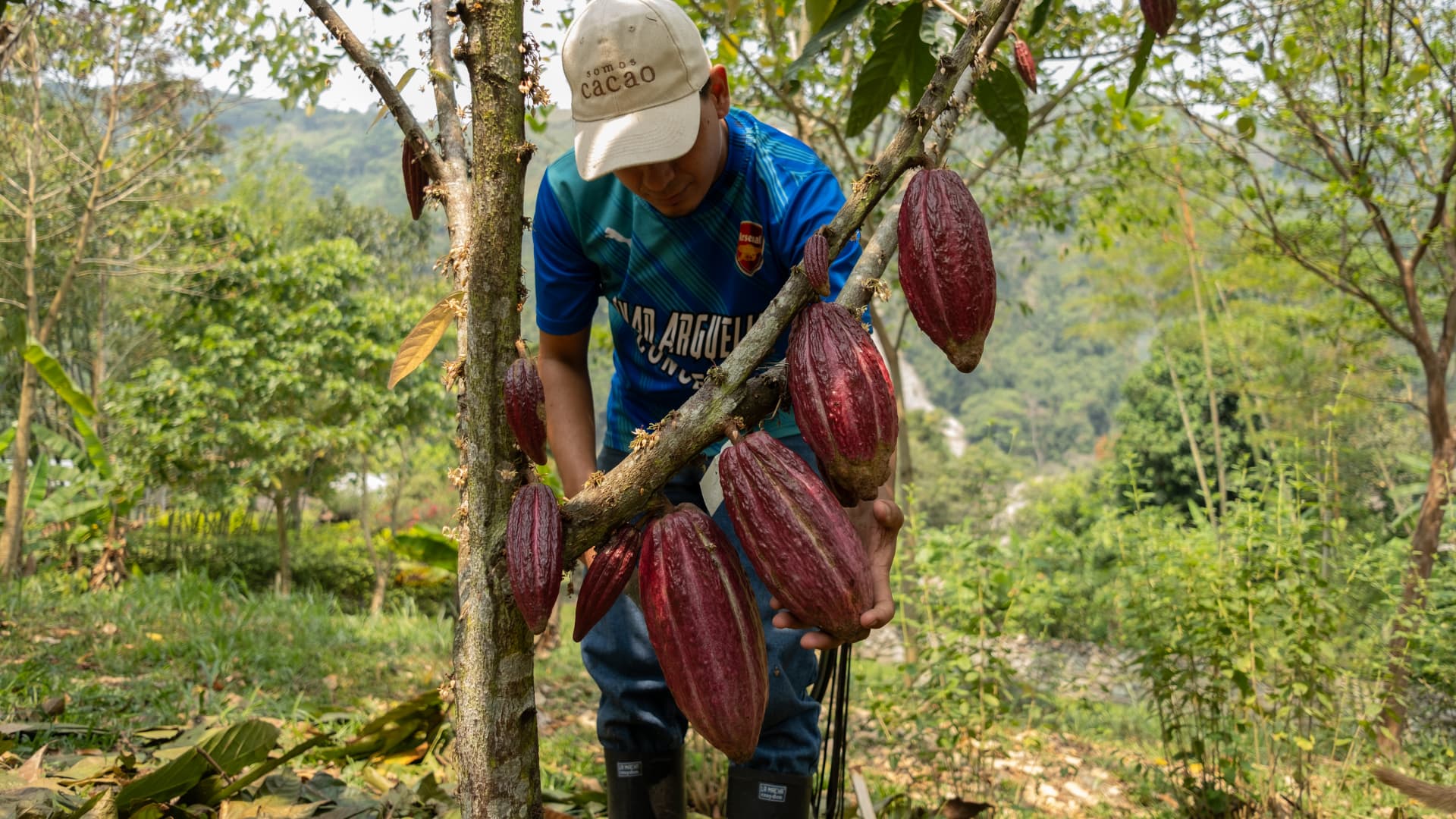 Could Trump’s tariffs spark a commodities super-cycle? Market watchers are divided