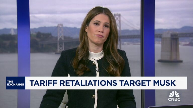 Elon Musk companies targeted in tariff retaliation