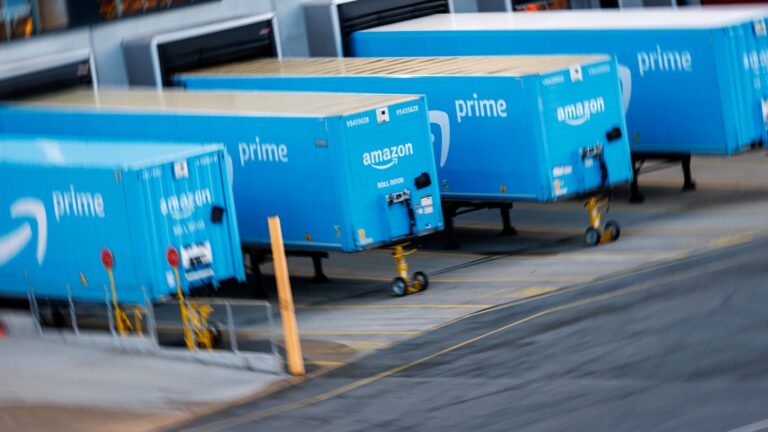 This beat-up Big Tech play is a promising growth name, says Accuvest Global Advisors CIO