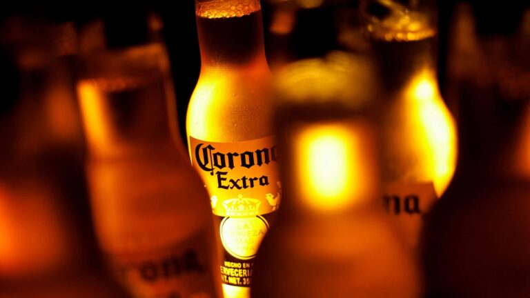 Trump's immigration policy is weighing on beer sales, Constellation Brands CEO says