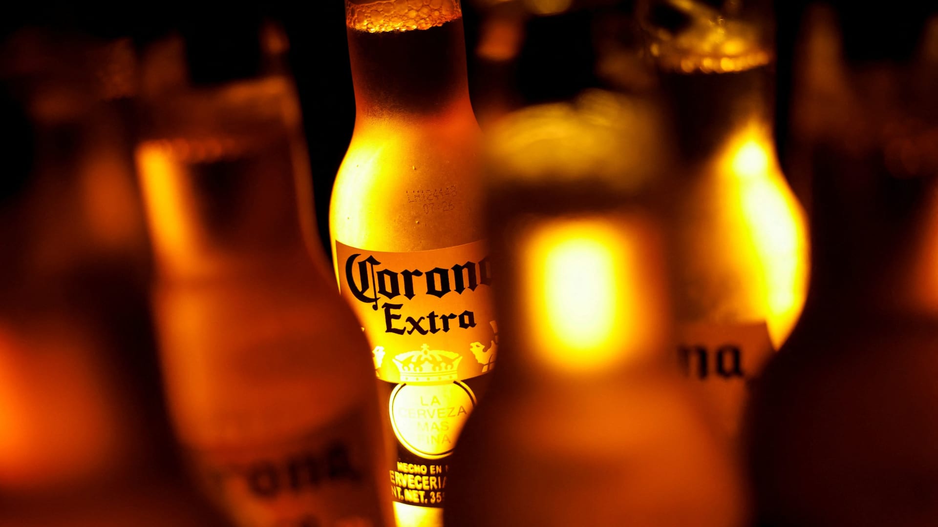 Trump's immigration policy is weighing on beer sales, Constellation Brands CEO says