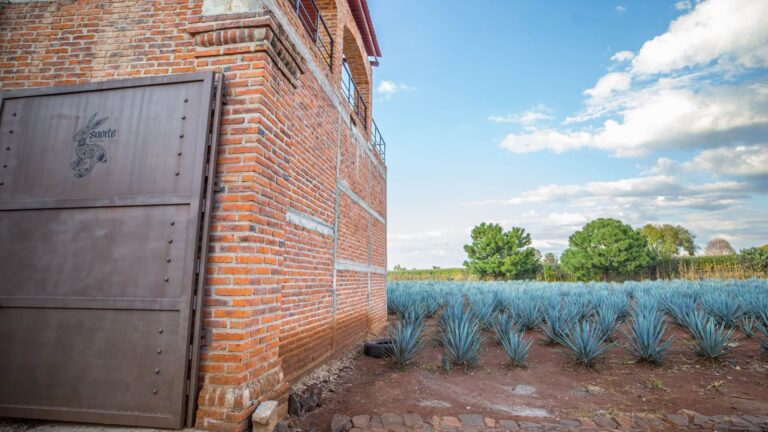 Tequila maker says tariffs won't affect his prices. Here's why he plans to absorb costs