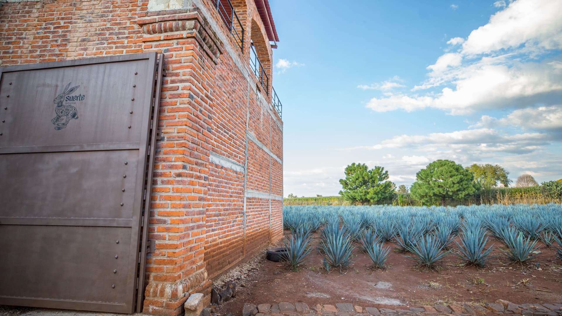 Tequila maker says tariffs won't affect his prices. Here's why he plans to absorb costs
