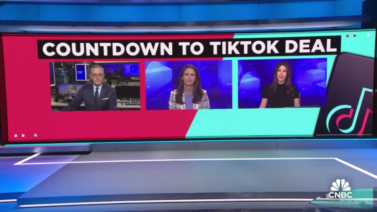 AppLovin is the latest bidder of TikTok; decision could be made today, reports say