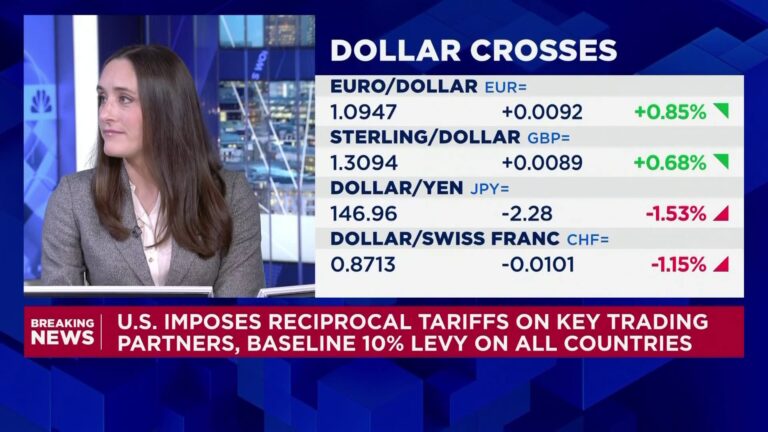 Companies can't plan when they have no idea what tariffs will apply in six months, economist says