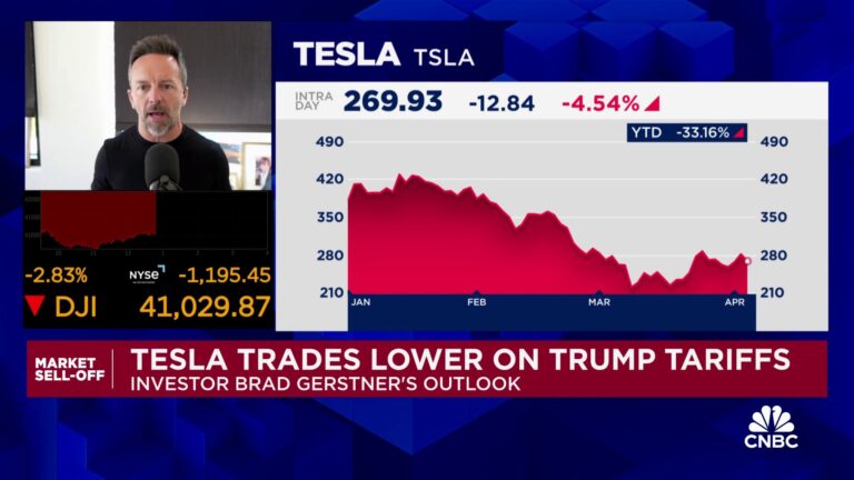 Brad Gerstner explains his Tesla position