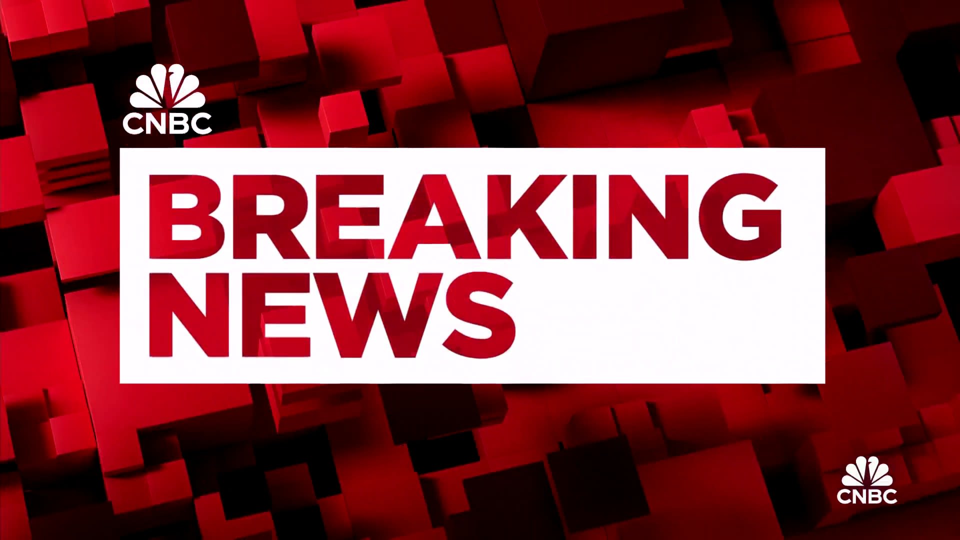 TikTok deal reportedly halted after China said it would reject it due to tariffs