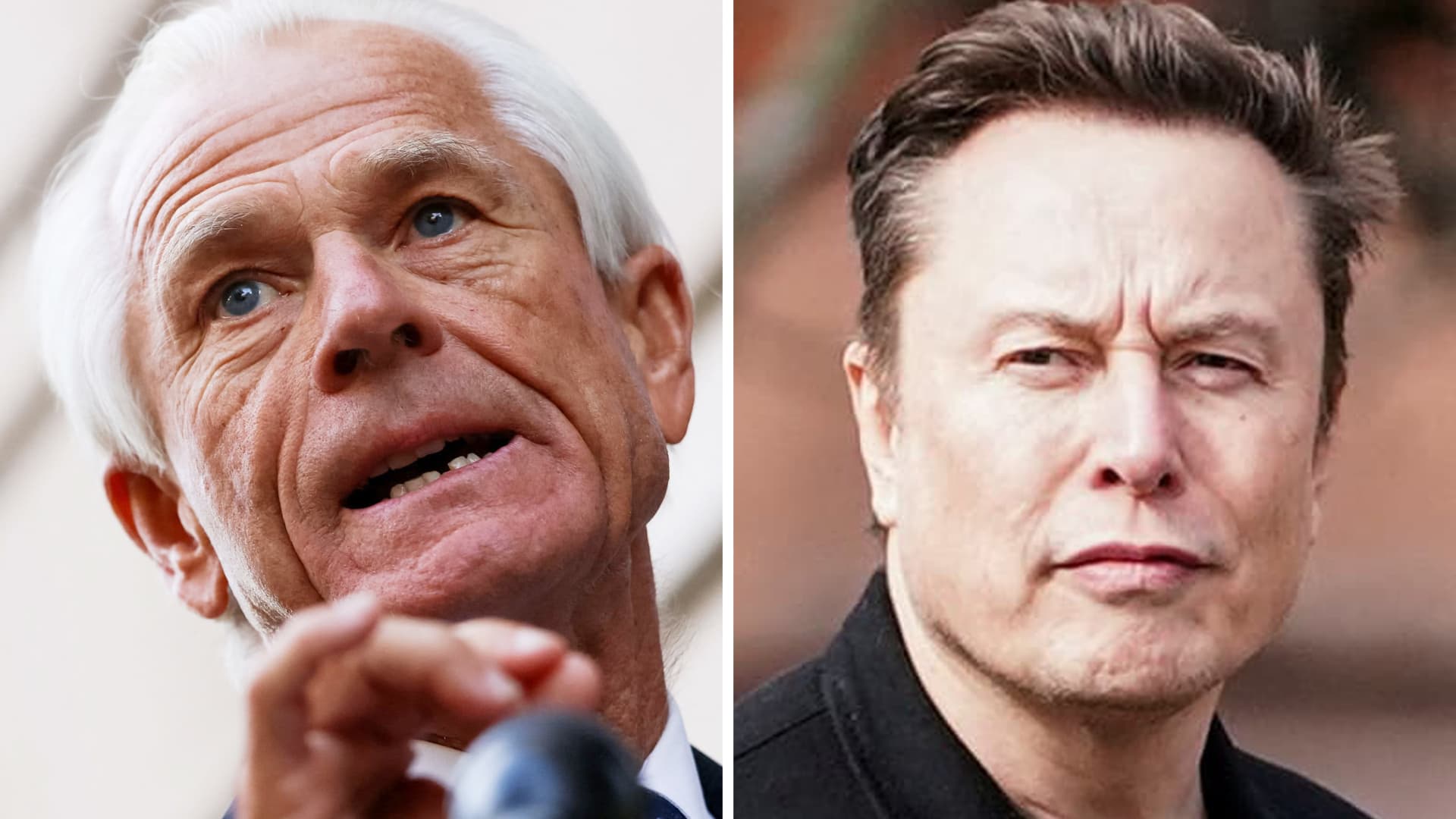 Peter Navarro denies tensions with Elon Musk after Musk calls him a 'moron'