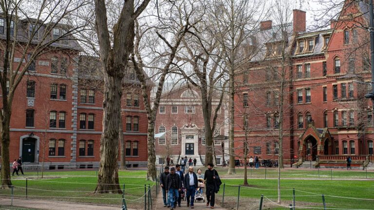 White House claims letter to Harvard with demands was an 'unauthorized' mistake: NYT