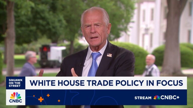 Peter Navarro: White House moving 'as fast as possible' on India trade deal