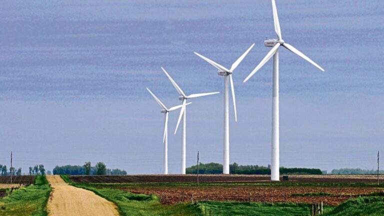 Upcoming IPO: Continuum Green Energy gets SEBI nod to raise  ₹3,650 crore through the public issue