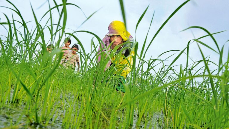 What a normal monsoon means for Indian stock market? Experts list 8 stocks to ride the monsoon theme