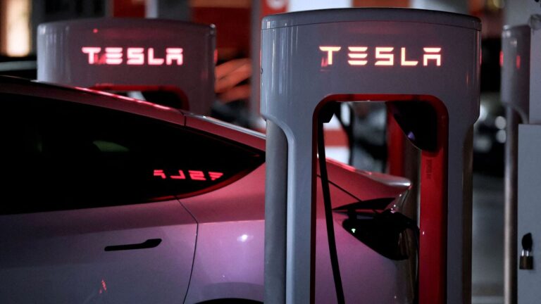 Tesla share price leaps 8% despite 71% drop in Q1 net profit after CEO Elon Musk vows to reduce DOGE time