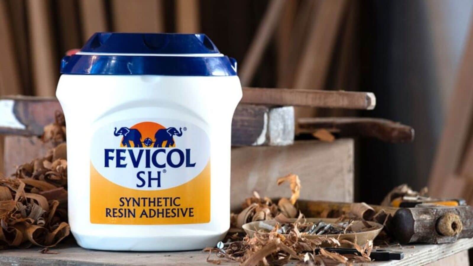 Pidilite Industries share price rises 15% since March'2025 lows: To consider dividend. Should you Buy, sell or Hold?