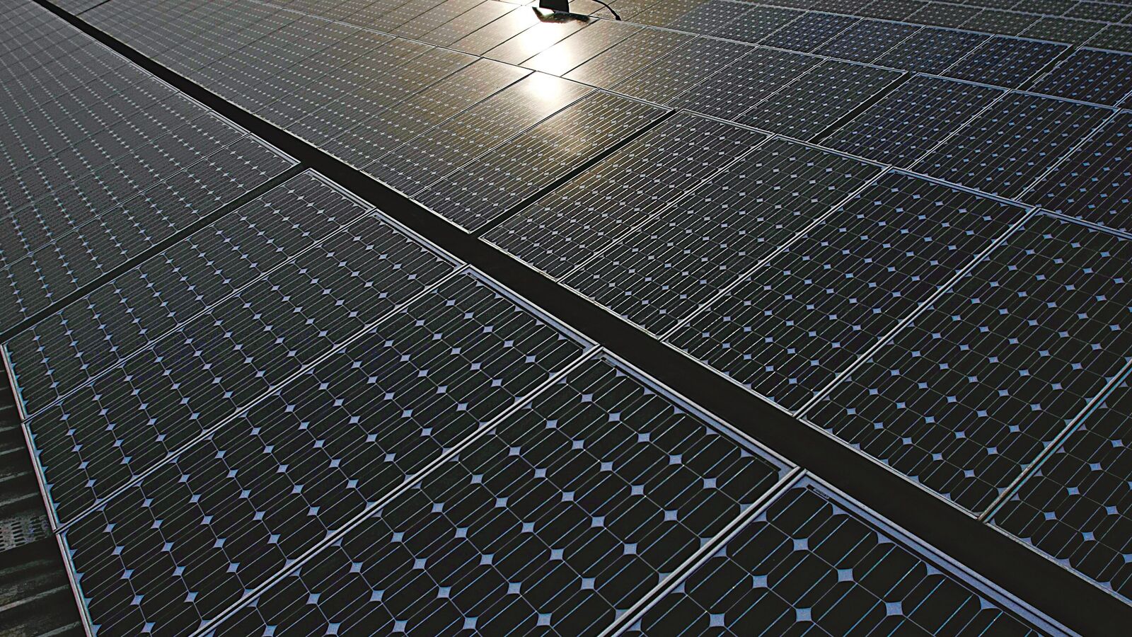 Why Bernstein initiated coverage with ‘Underperform’ call on Waaree, Premier Energies?