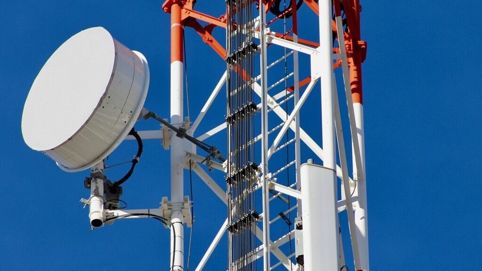 Indus Tower share price gains 4% on board meeting update to consider dividend, bonus, buyback | Stock Market News