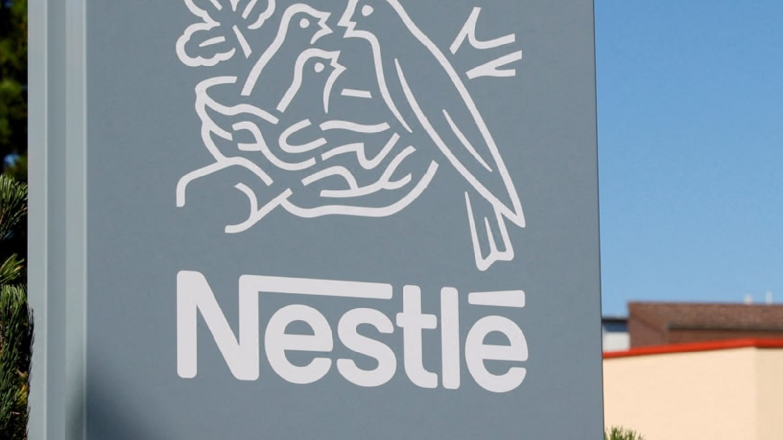 Nestle Q4 consolidated net profit at  ₹873 crore declines 6.5% year on year: Declares final dividend of  ₹10 | Stock Market News