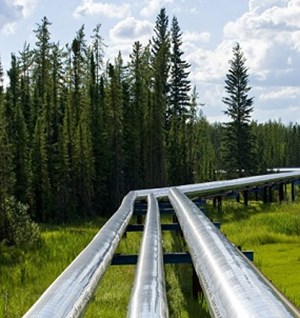 Carney vows to speed permits, make Canada energy superpower