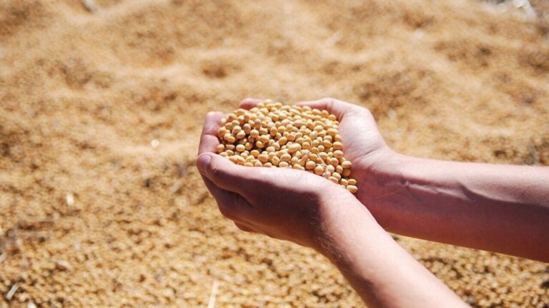 PI Industries bets on innovation and scale to ride out trade turbulence