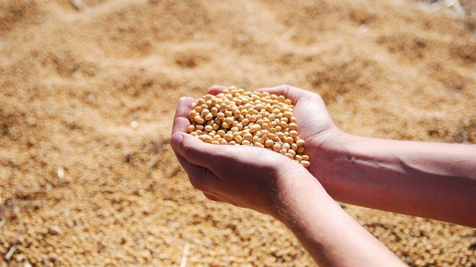 PI Industries bets on innovation and scale to ride out trade turbulence