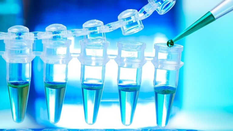 Advance Agrolife files DRHP for IPO with SEBI, seeks  ₹135 crore through fresh issue