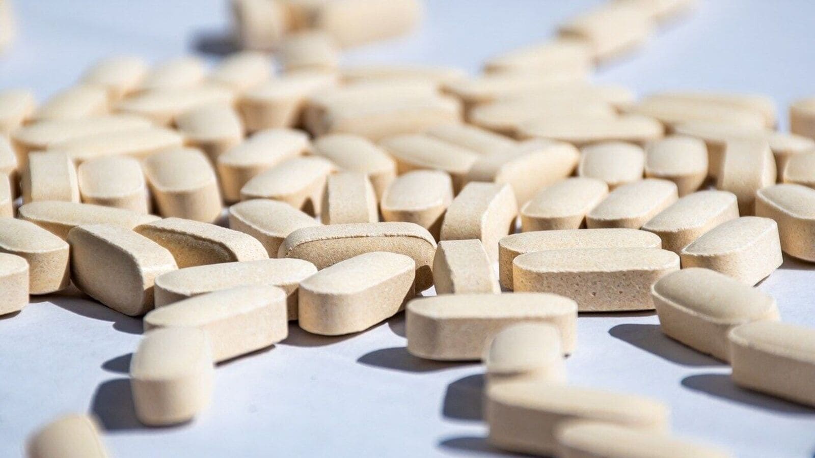 Small-cap stock under  ₹50: Sigachi Industries share price gains despite promoter share pledge move