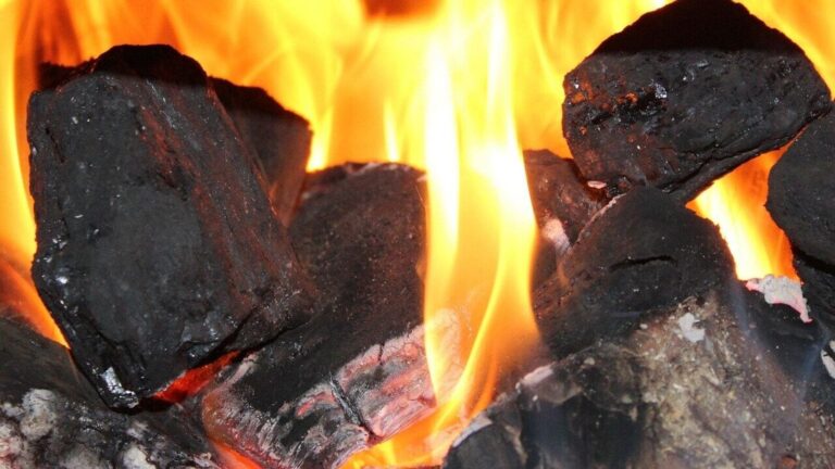 Power play: Can Coal India defy the headwinds?