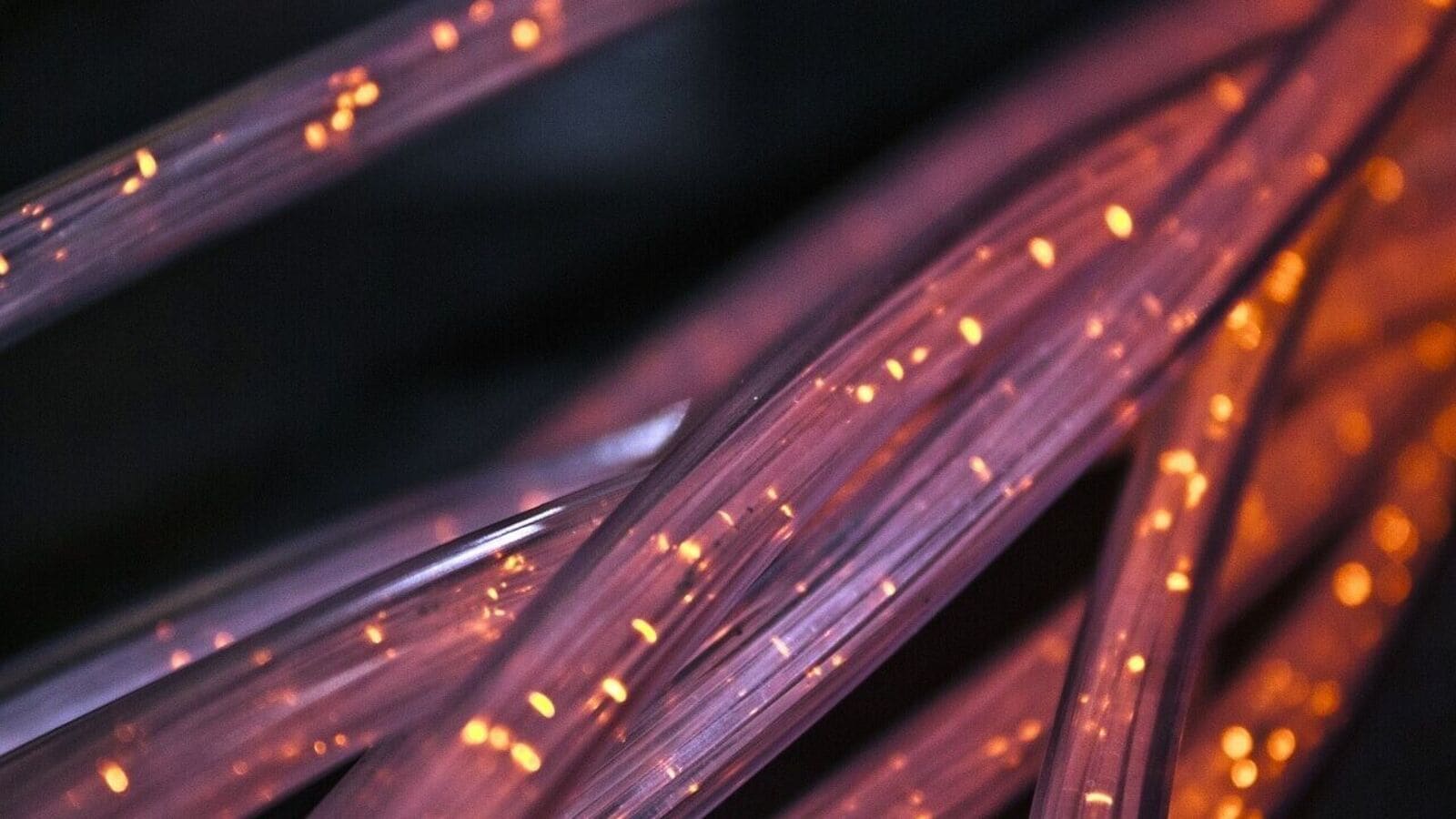 Bargain hunting? Mutual funds raise stake in KEI Industries to 22% in Q4, even as stock tanks 43% in 4 months | Stock Market News