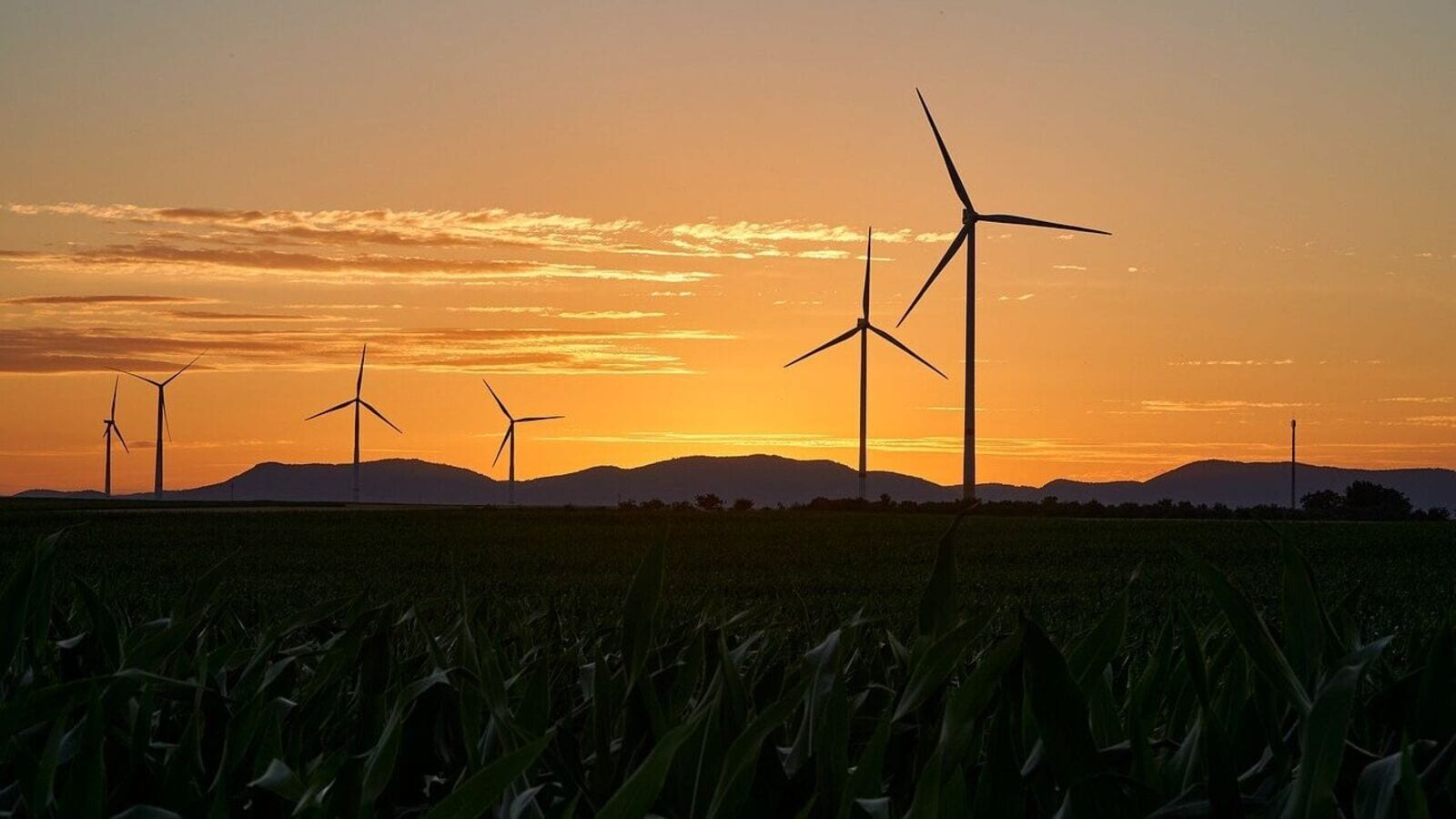 500% rally in 3 years! Multibagger Inox Group stock is Anand Rathi's pick of the month, 11% upside eyed; Do you own?