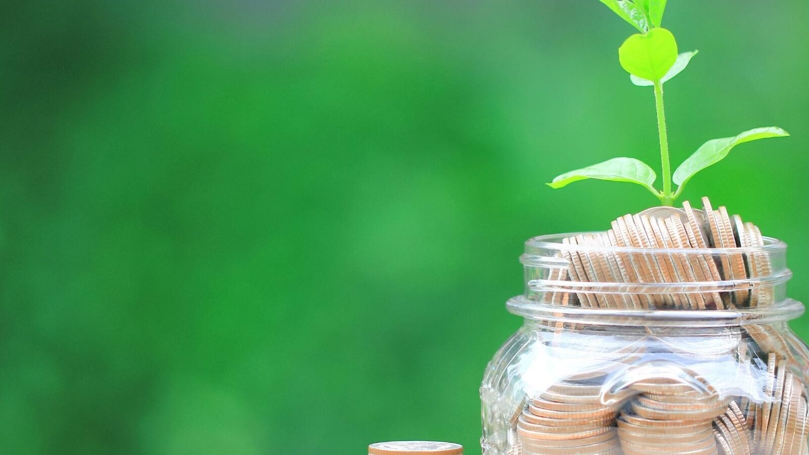 Small-cap stock under  ₹50: Textile stock edges higher despite weak Indian stock markets