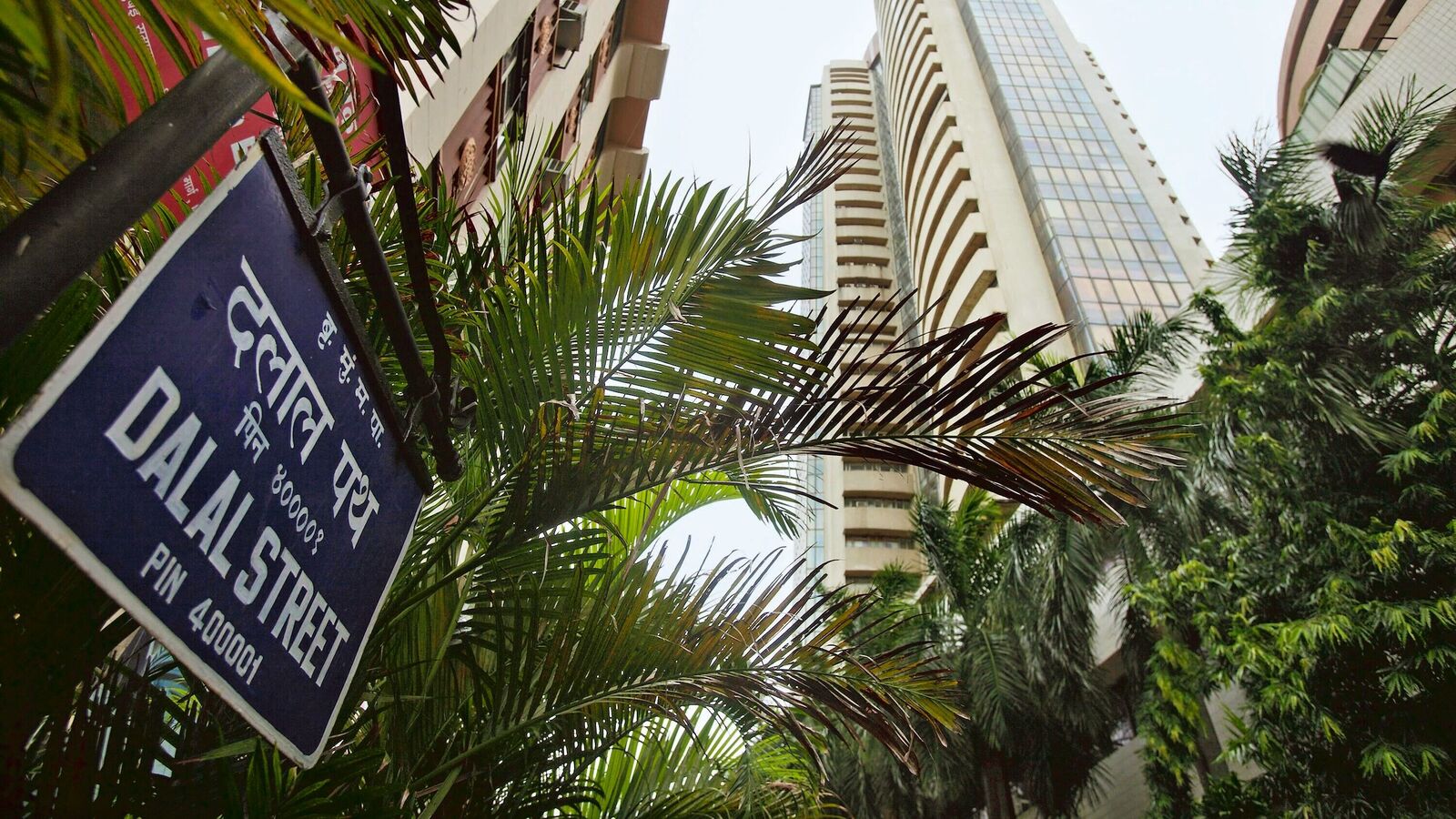 Stock market weekly wrap: Sensex, Nifty 50 rallied over 4.5%; What to expect from Indian stock market next week?