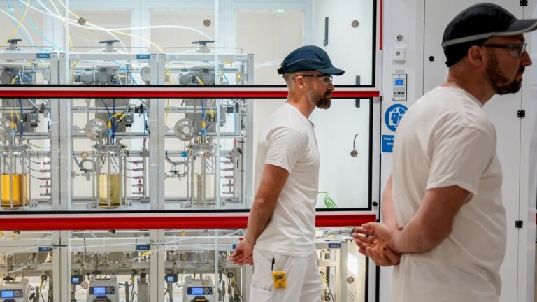 Eli Lilly's earnings beat is clouded by Novo news. What it means for investors