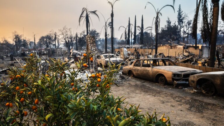 European insurance giants take $3.5 billion hit from Los Angeles wildfires — beating estimates