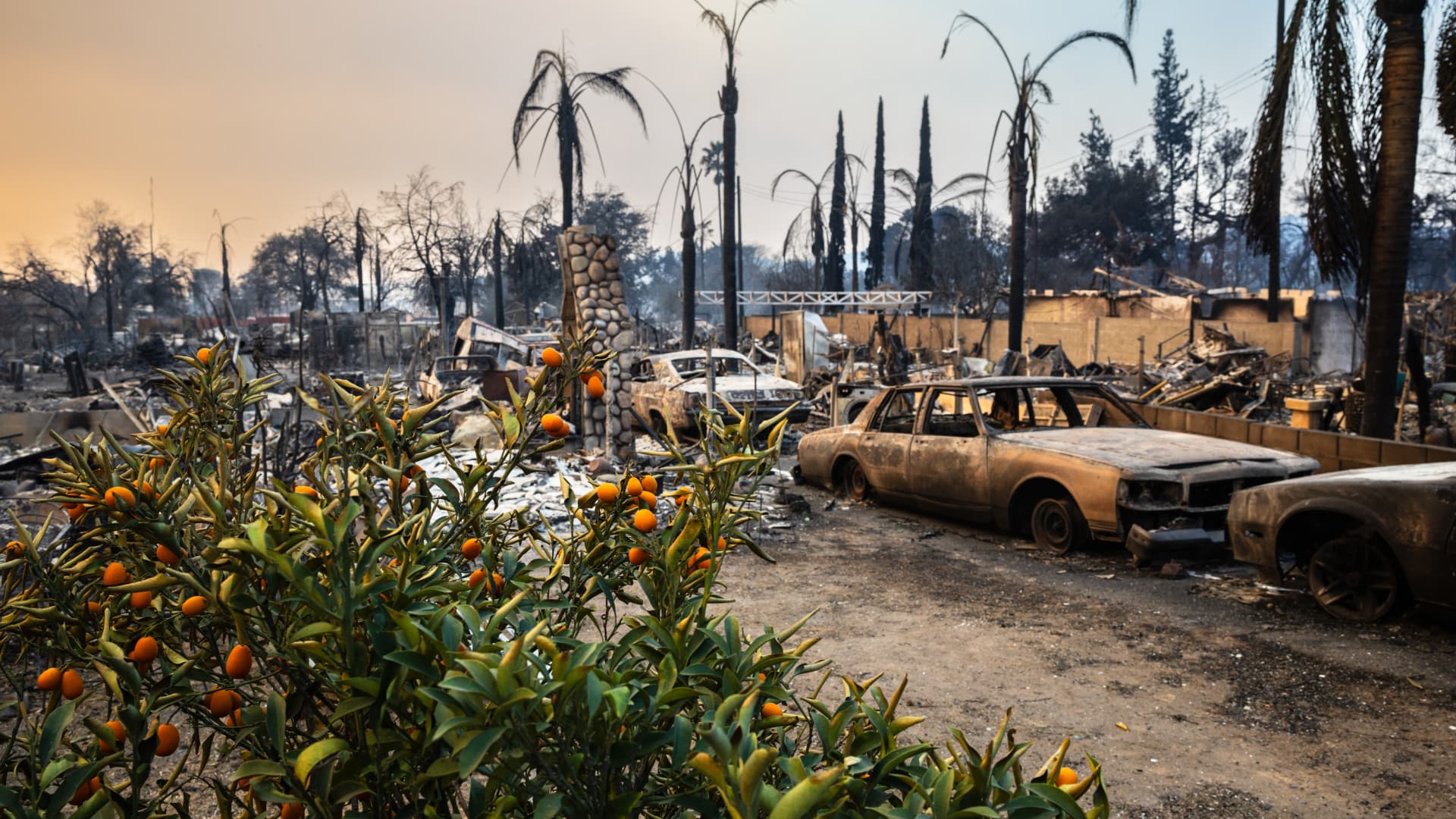 European insurance giants take $3.5 billion hit from Los Angeles wildfires — beating estimates