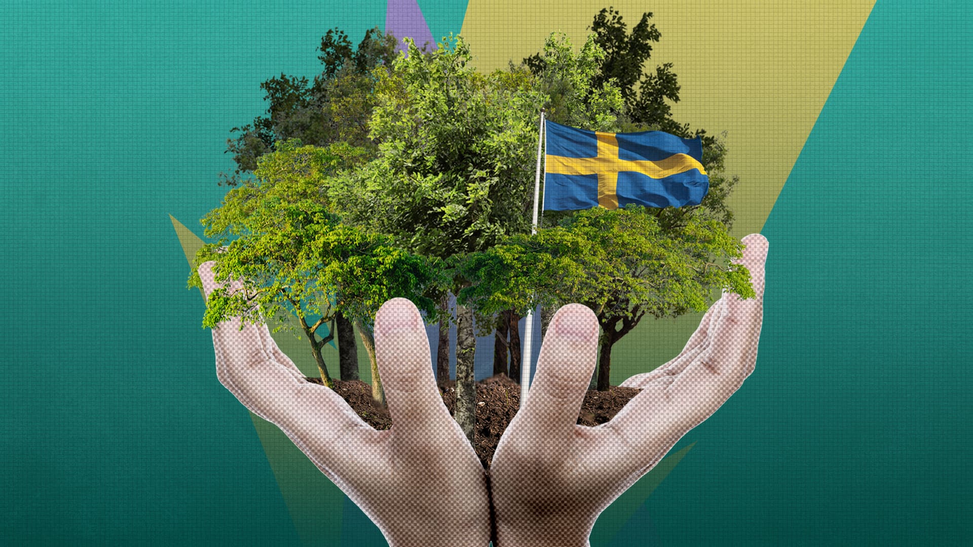 Who owns Sweden's forests?