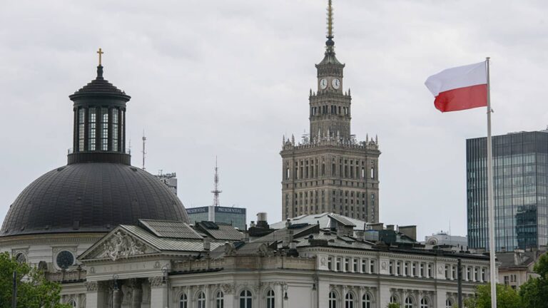 Polish presidential election to test if PM's pro-EU vision is Trump-proof