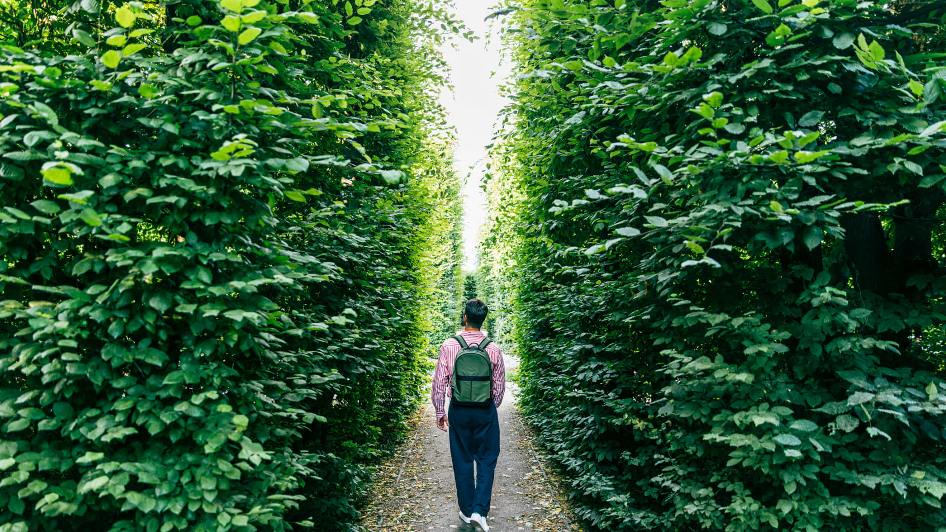 You could be repaying student loans for 30 years under GOP plan. It's 'indentured servitude': expert