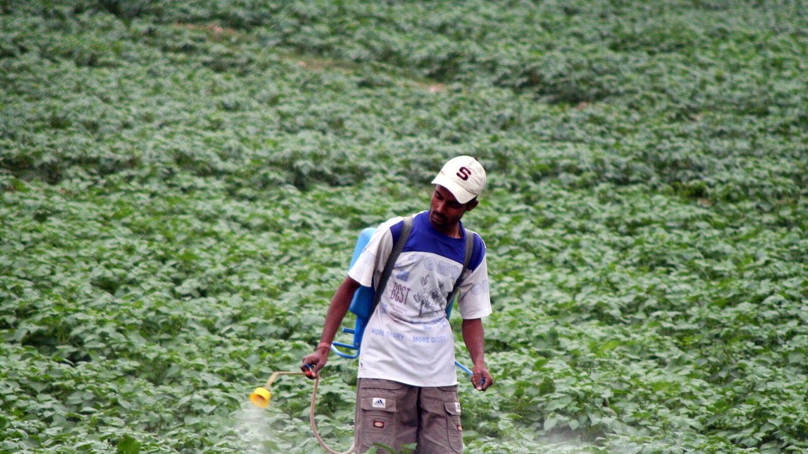 UPL Q4 Results: Profit surges 2,140% YoY to  ₹896 crore; company declares 300% dividend of  ₹6 apiece