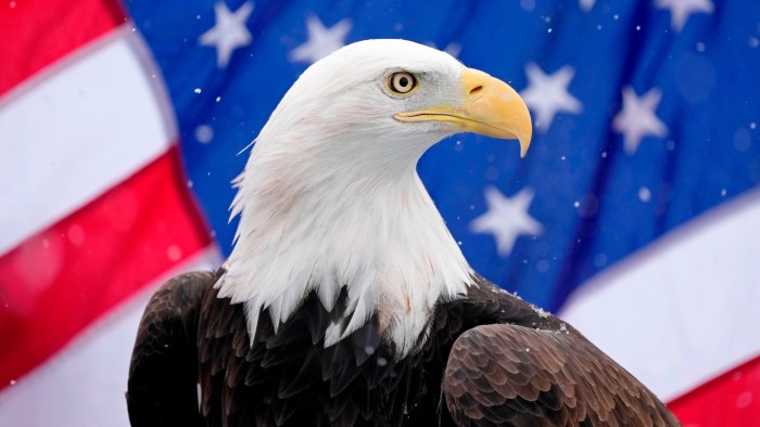 Investors ask ‘what next’ as the American fever breaks