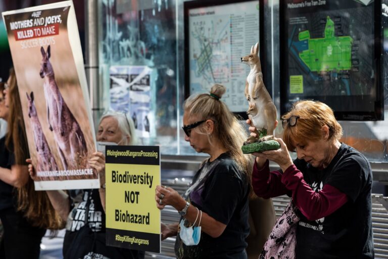 Protesters holding placards outside a sport shop