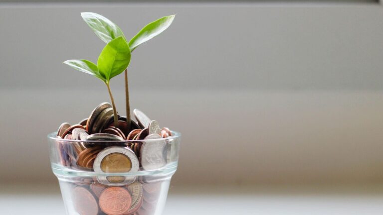 Small-cap stock below  ₹50: SME stock jumps after expansion in retail footprint