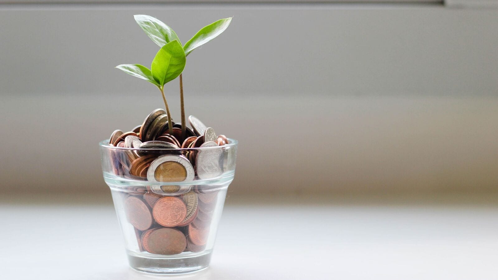 Small-cap NBFC stock below  ₹100 in focus after this AUM update