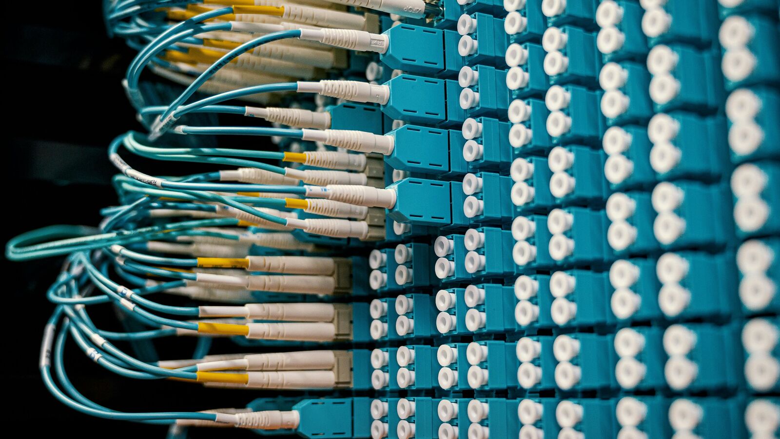 Polycab shone in FY25, but will investors stay plugged in?