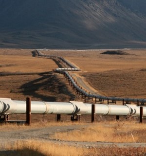 Thailand bids to join Alaska gas project before tariff talks