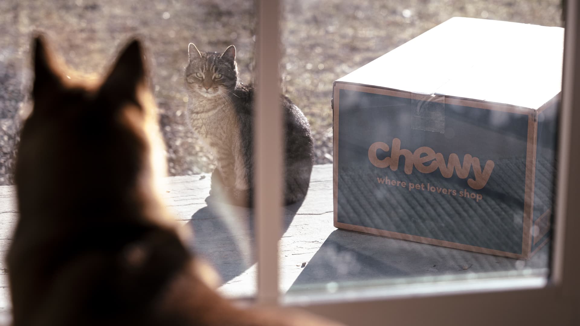 Stocks making the biggest moves midday: Oklo, Chewy, Quantum Computing, GitLab & more