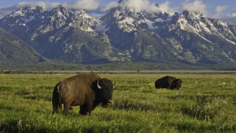 U.S. National Parks, national monuments and more public lands will be free on Juneteenth—and 5 other days this year